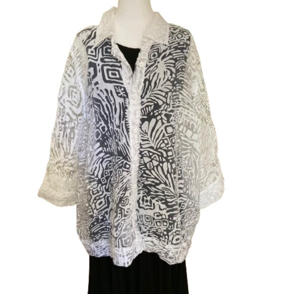 Ruby Rd. Plus Button Down White & Sheer Shirt Elegant Design Artistic, size 24W - Picture 3 of 12